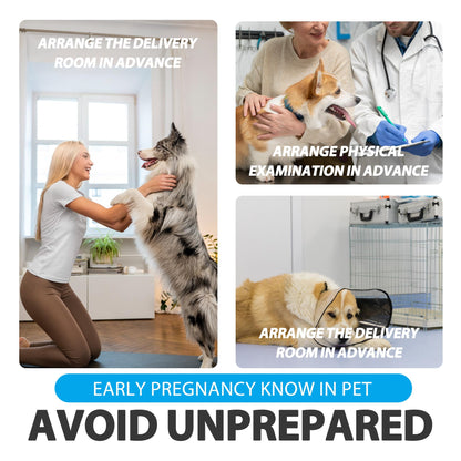 Dog Pregnancy Test Kit - Fast & Accurate Detection | Disposable Pet Equipment
