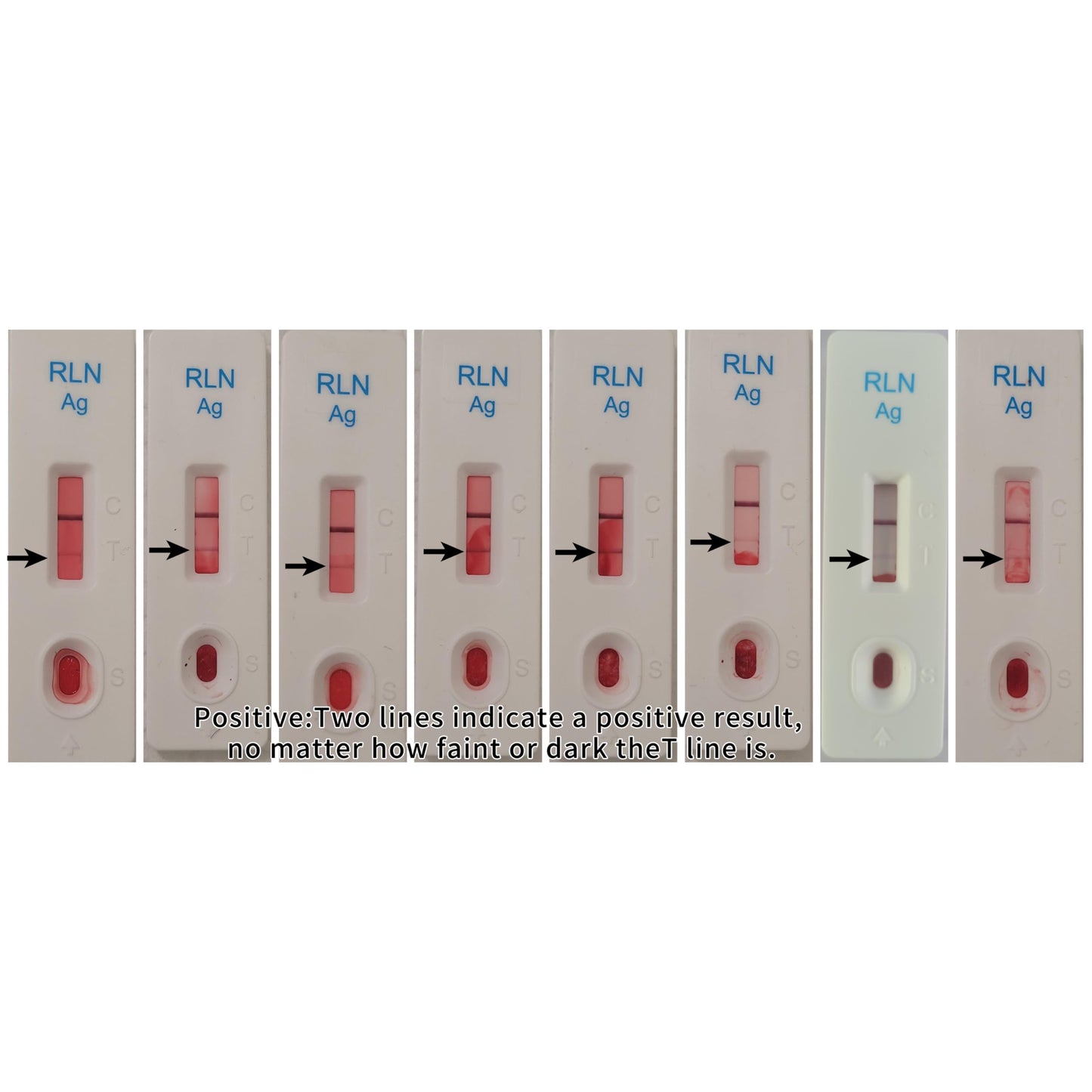 Dog Pregnancy Test Kit at Home- 5-Min Results, Painless & Clean (No Blood Draw), 99% Accurate for Breeders & Owners