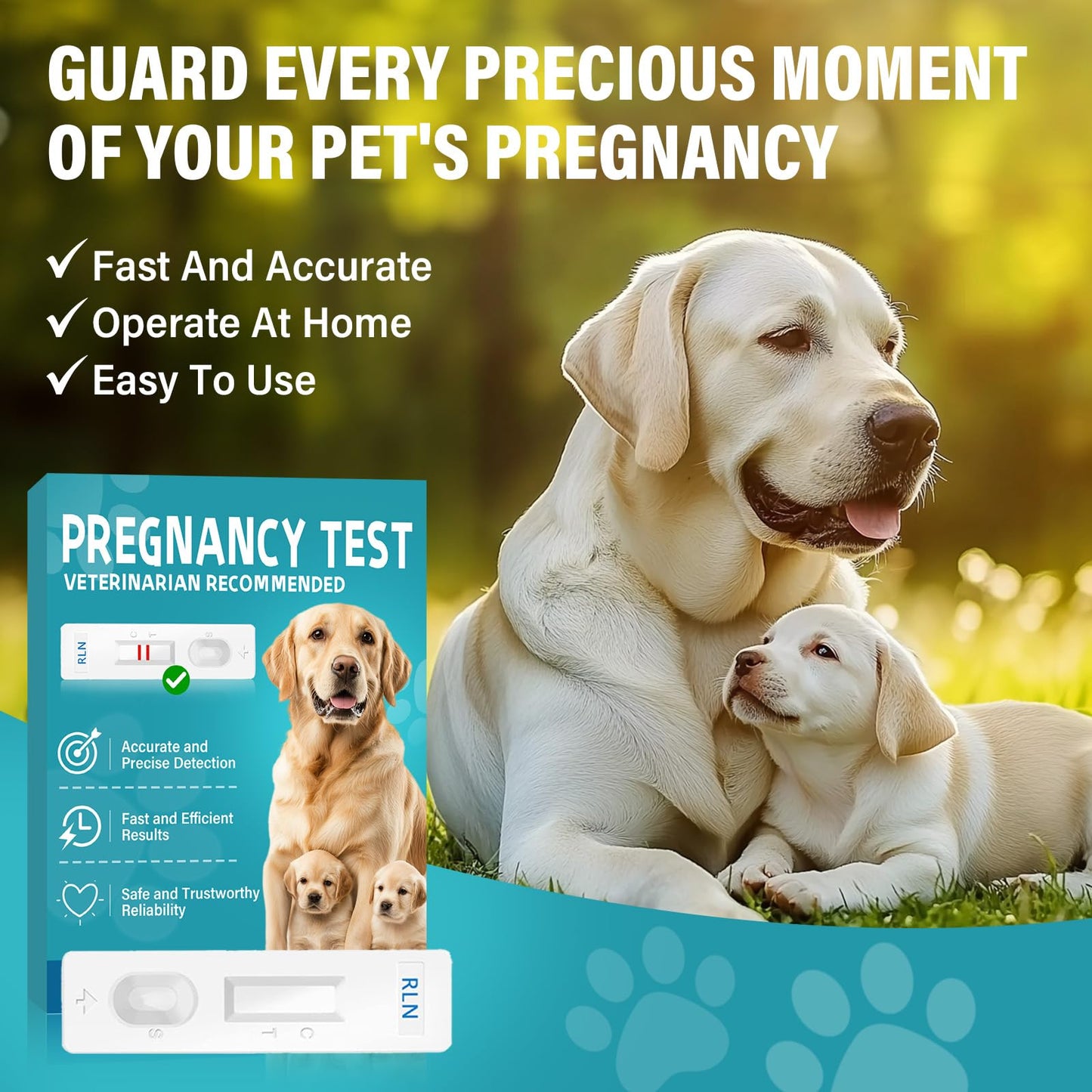 at-Home Dog Pregnancy Test Kit | 15-Minute Accurate Results | Easy Pregnancy Test Strips for Dogs & Cats | Safe Early Detection