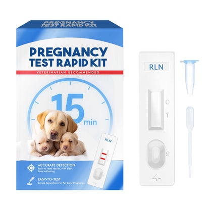 Dog Pregnancy Test Kit at Home – 15-Minute Results, High Accuracy