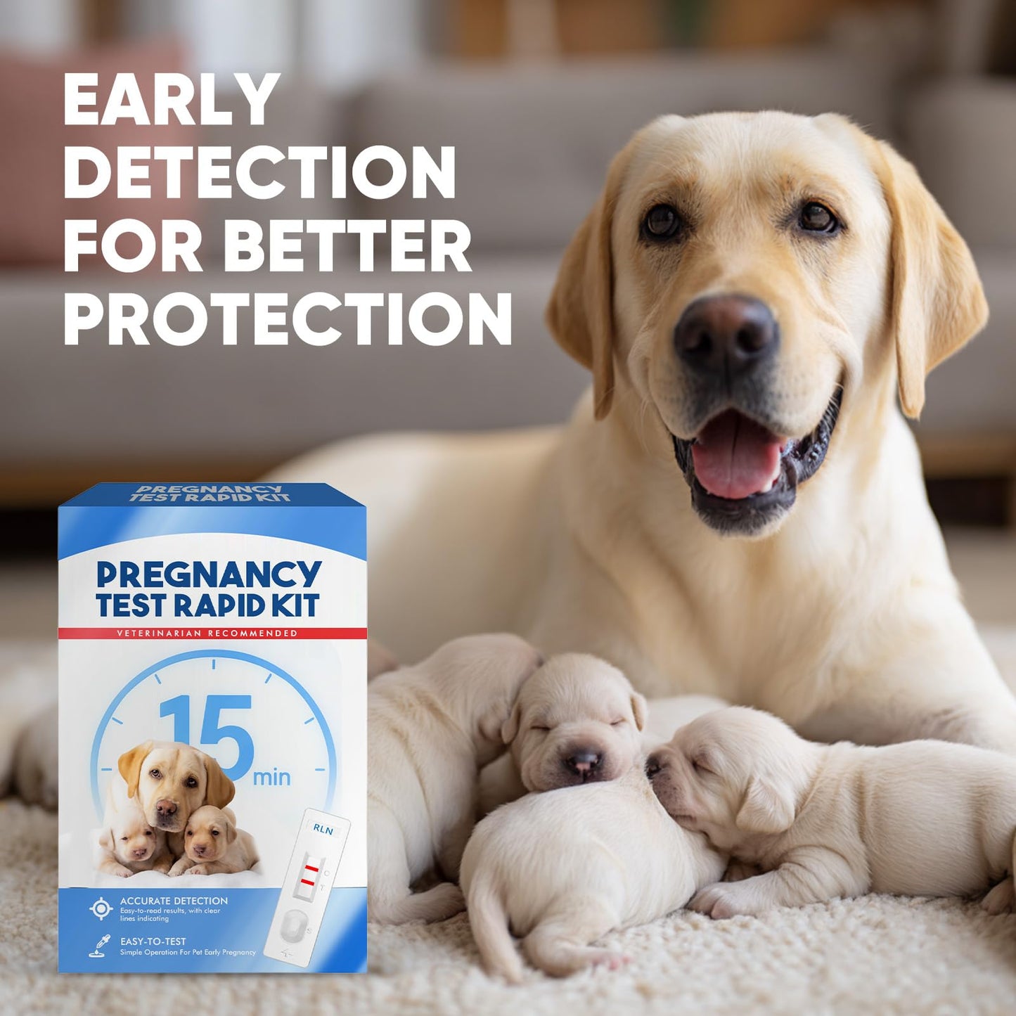 Dog Pregnancy Test Kit at Home – 15-Minute Results, High Accuracy
