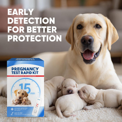 Dog Pregnancy Test Kit at Home – 15-Minute Results, High Accuracy