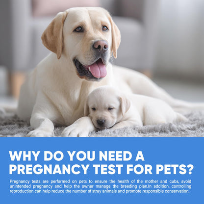 Dog Pregnancy Test Kit at Home – 15-Minute Results, High Accuracy