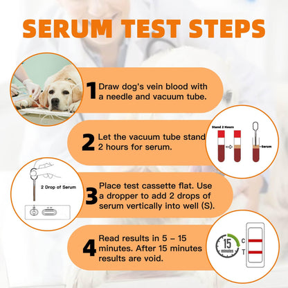 Dog Pregnancy Test Kit at Home – Early Detection, Fast & Accurate