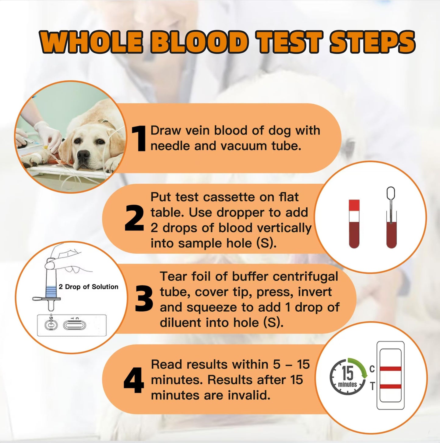 Dog Pregnancy Test Kit at Home – Early Detection, Fast & Accurate