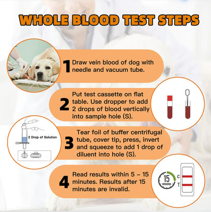 Dog Pregnancy Test Kit at Home – Early Detection, Fast & Accurate