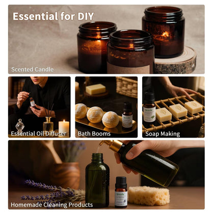 Dohale Essential Oils Set in Acacia Wood Gift Box - 10ml Diffuser Aromatherapy