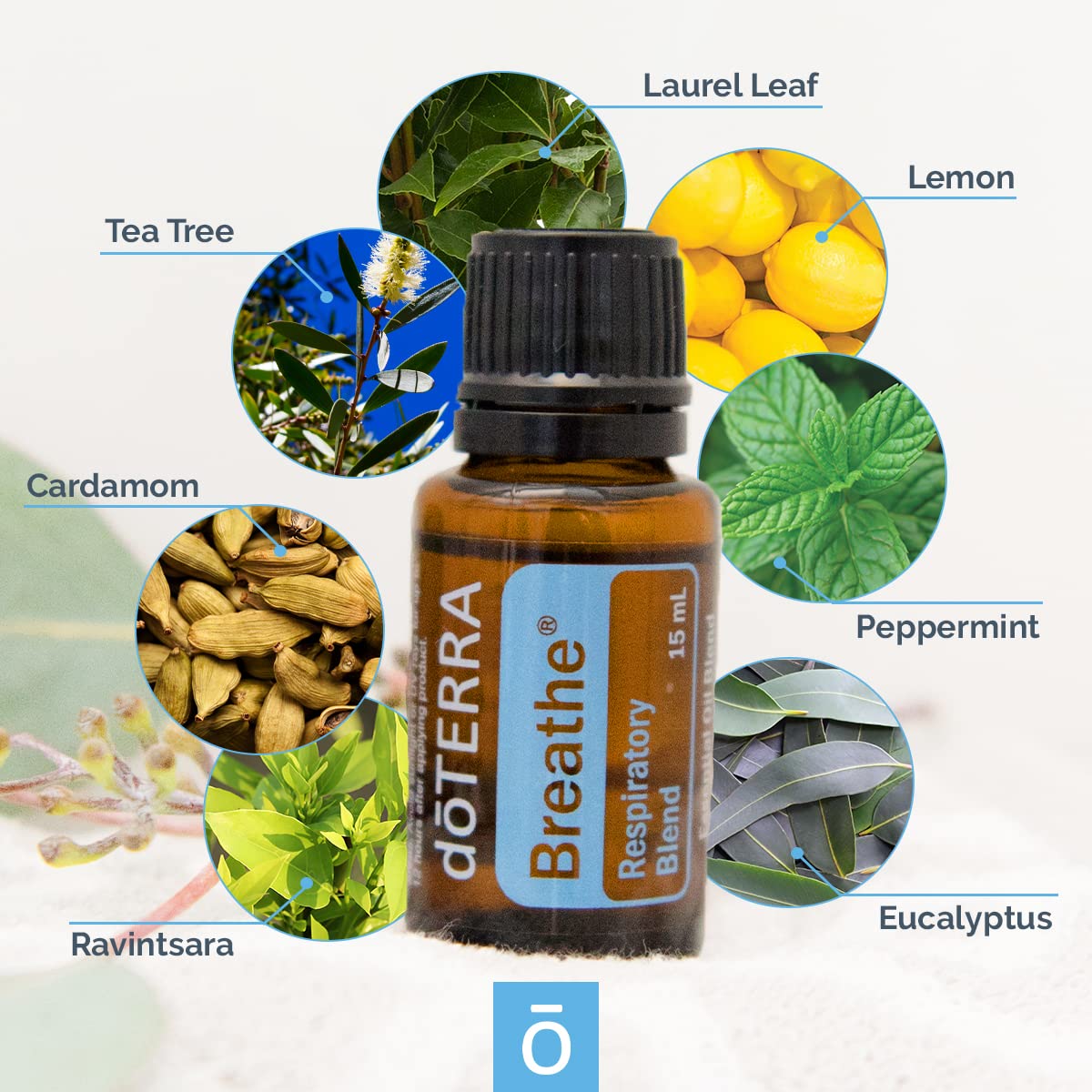 doTERRA Breathe Essential Oil Respiratory Blend - 15 ml