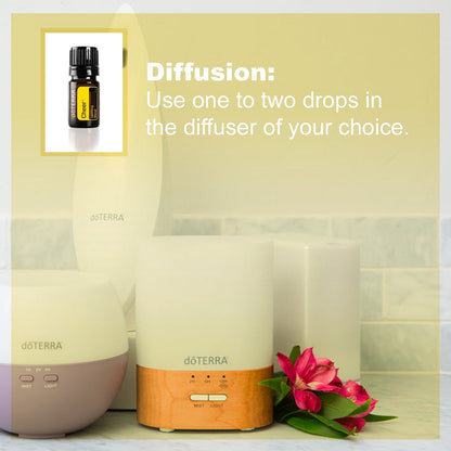 doTERRA Cheer Essential Oil – Uplifting Blend (5 mL) for Cheerfulness