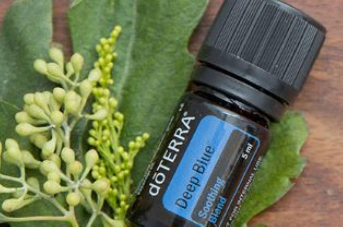 doTERRA Deep Blue Essential Oil Soothing Blend 5 ml (2 Pack)