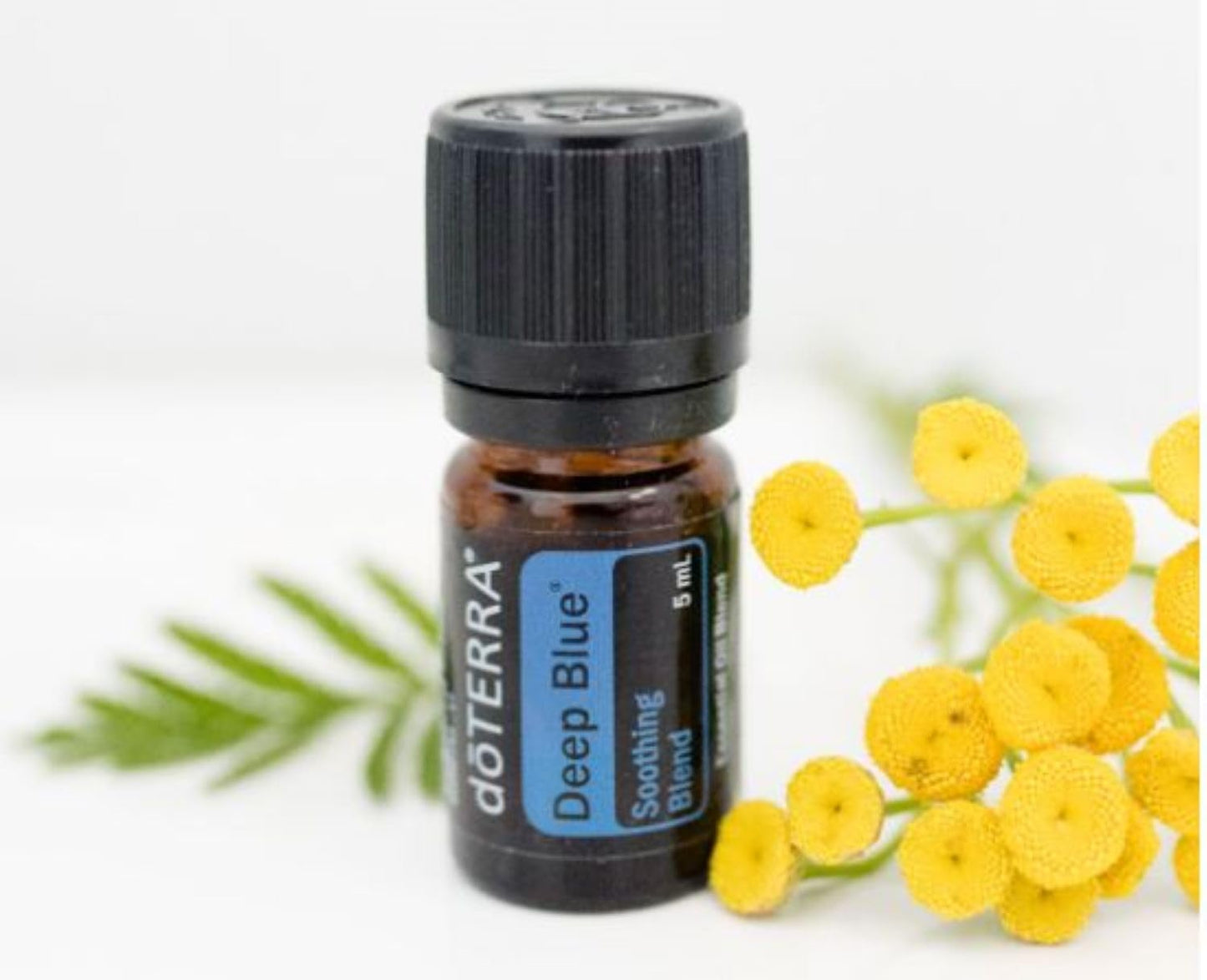 doTERRA Deep Blue Essential Oil Soothing Blend 5 ml (2 Pack)