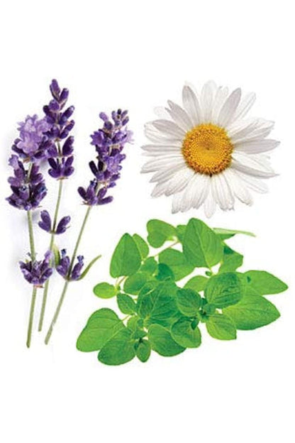 doTERRA Serenity Restful Blend - 15 ml Essential Oil | Calming Sleep Aromatherapy