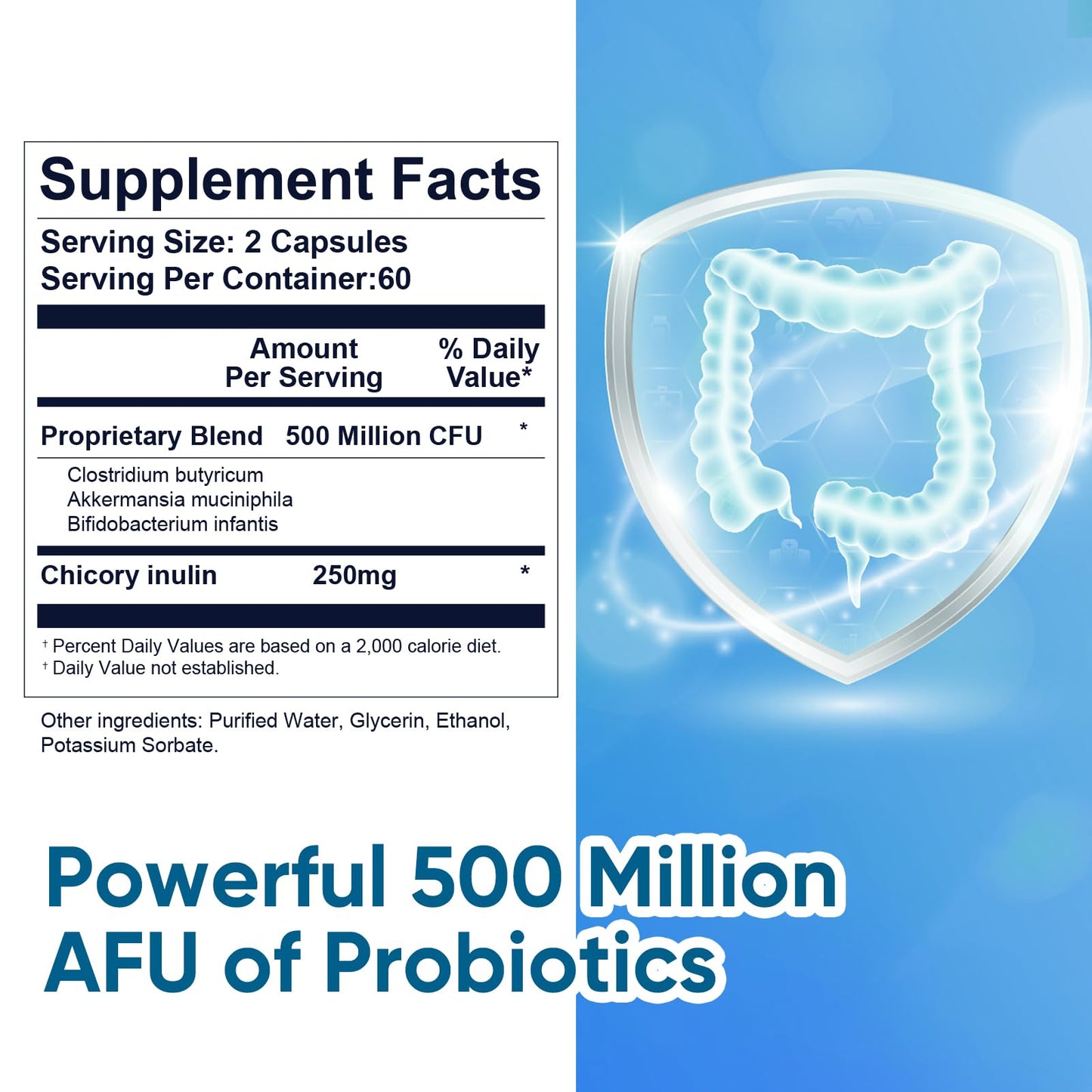 DQQI GLP-1 Booster: Akkermansia Probiotic, 120 Capsules | Metabolism & Gut Health
