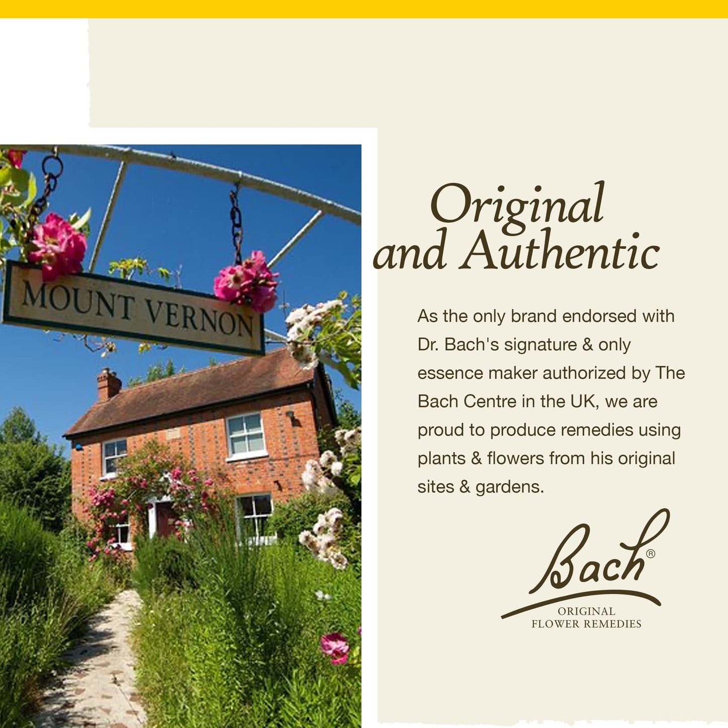 Bach Original Flower Remedies: Wild Oat - Decide Your Path | 20mL Dropper
