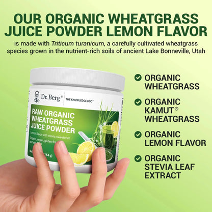 Dr. Berg USDA Organic Green Powder Superfood – Lemon Flavor, 60 Servings BritishVita | Premium UK Vitamins & Wellness Supplements