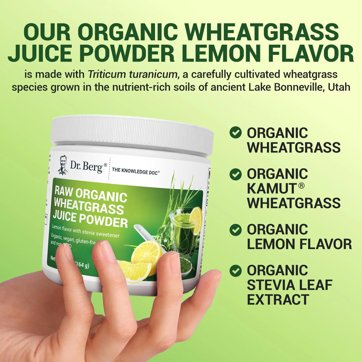 Dr. Berg USDA Organic Green Powder Superfood – Lemon Flavor, 60 Servings BritishVita | Premium UK Vitamins & Wellness Supplements