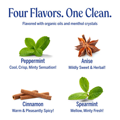 Dr. Bronner's All-One Toothpaste 4-Pack Variety (Peppermint, Spearmint, Cinnamon & Anise) – 5 oz Each | SLS Free, Fluoride Free, Vegan