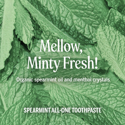 Dr. Bronner’s All-One Toothpaste Spearmint 5 oz 3-Pack – Fluoride-Free
