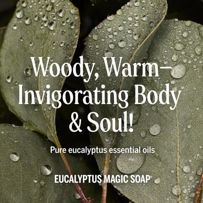Dr. Bronner's Magic Soap - Pure-Castile Eucalyptus Liquid Soap (2-Pack, 32 oz) | 18-in-1 Uses