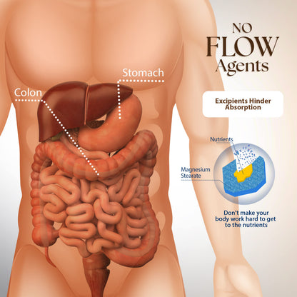 Dr Clark Betaine HCL Digestive Enzymes – 2 Pack, 100 Capsules, 425 mg