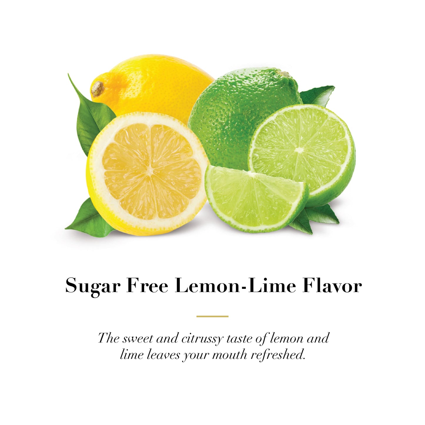 Dr Doolittle's Sugar Free Soft Fruit Pastilles - Lemon Lime for Voice & Throat - Multipack Tin & Travel Size