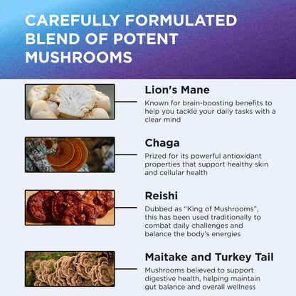 Dr. Emil Nutrition 9000mg Lion's Mane Capsules – Organic Mushroom Blend with Chaga, Reishi & Maitake