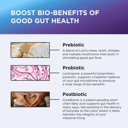 DR. EMIL NUTRITION Total Gut Health Complex – Prebiotic, Probiotic & Postbiotic Supplement – Supports Digestive Health, Bloating & Gut Balance – Non-GMO & Soy-Free – 60 Capsules