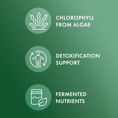 Dr. Mercola Fermented Chlorella with Chlorophyll - 90 Servings (450 Tablets) - Non-GMO, NSF Certified