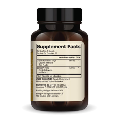 Dr. Mercola Fermented Ginger with Benegut – Supports Digestive & Gut Health | 60 Capsules