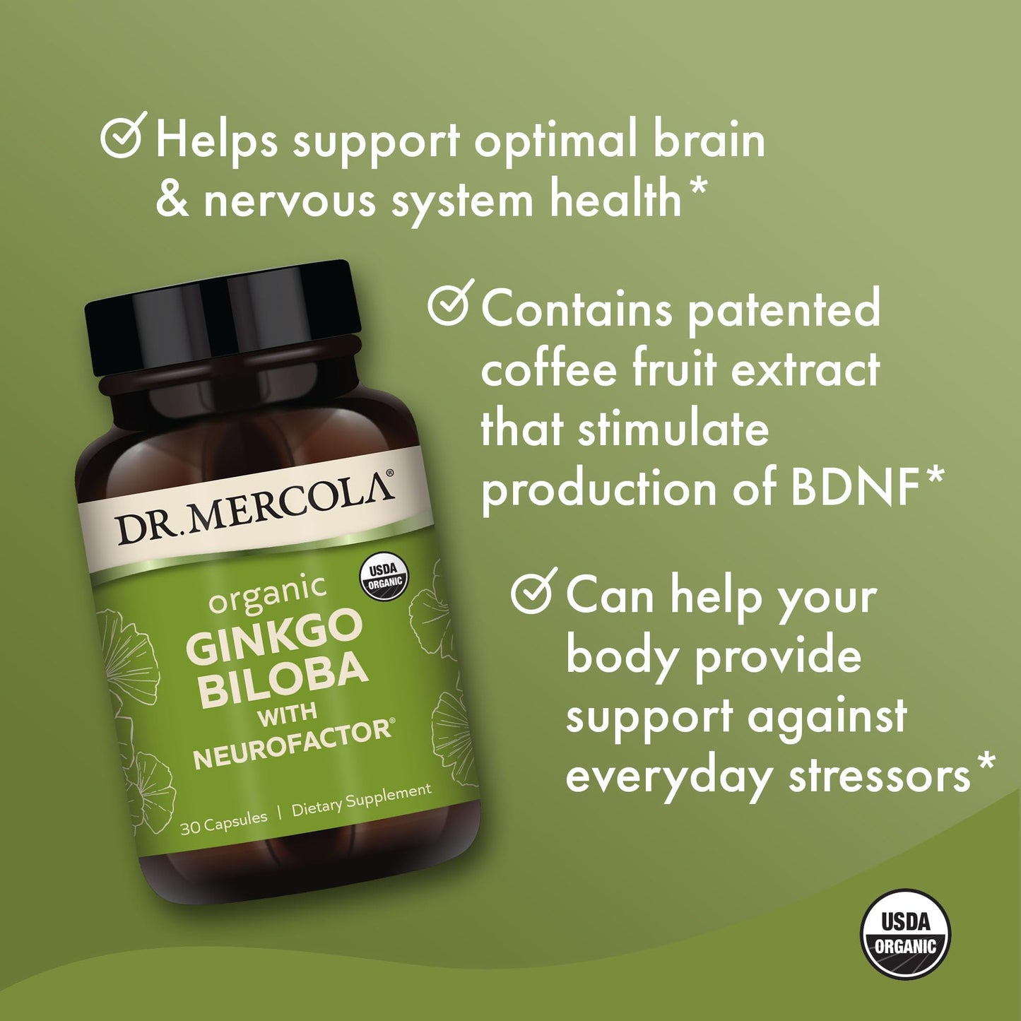 Dr. Mercola Organic Ginkgo Biloba with NeuroFactor – Brain Health Support – 30 Capsules
