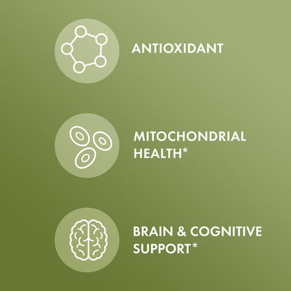 Dr. Mercola Organic Ginkgo Biloba with NeuroFactor – Brain Health Support – 30 Capsules