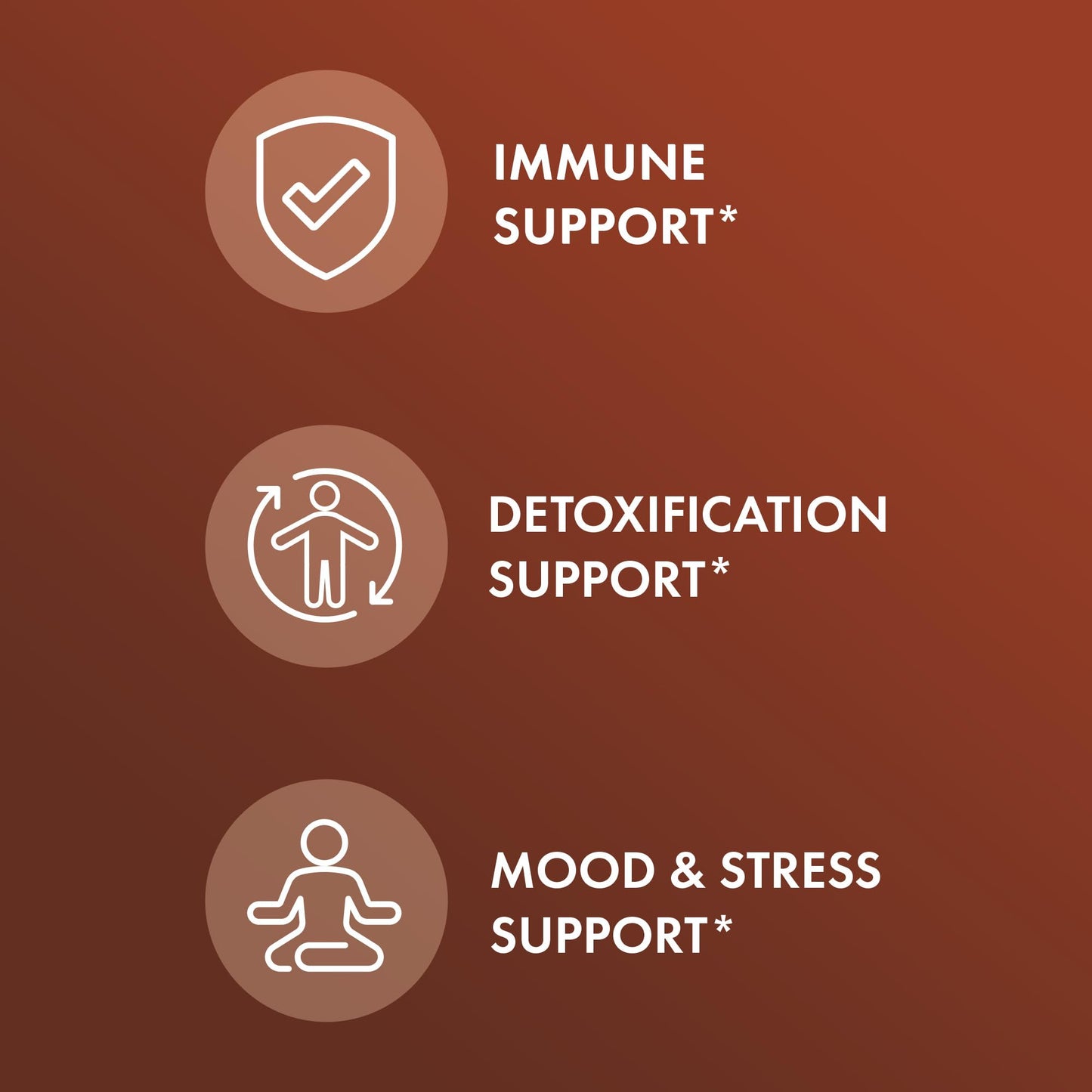 Dr. Mercola Organic Reishi Mushroom Extract – Immune Support, USDA Organic, Non-GMO, 30 Servings