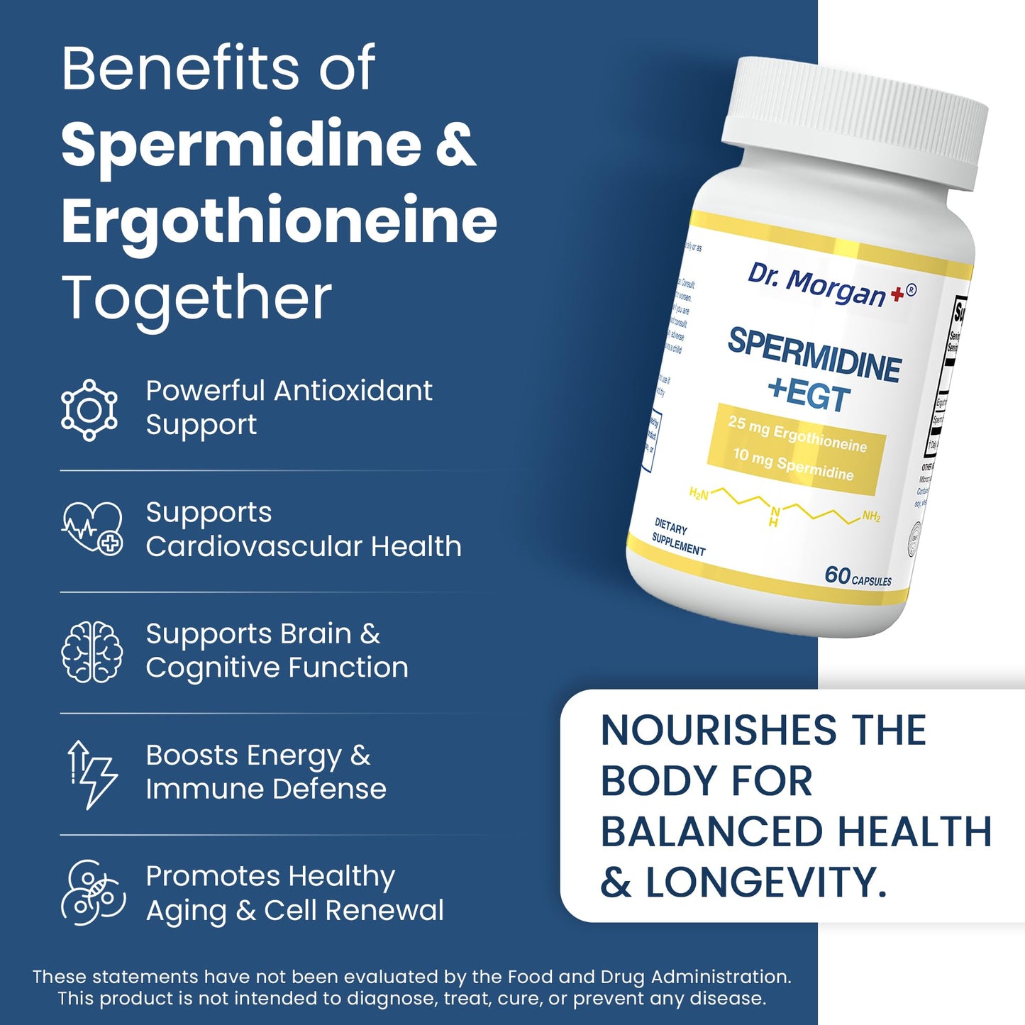 Dr. Morgan Spermidine & Ergothioneine – 99% Purity, Third-Party Tested