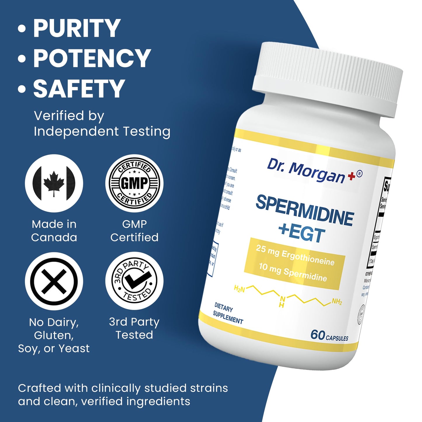 Dr. Morgan Spermidine & Ergothioneine – 99% Purity, Third-Party Tested