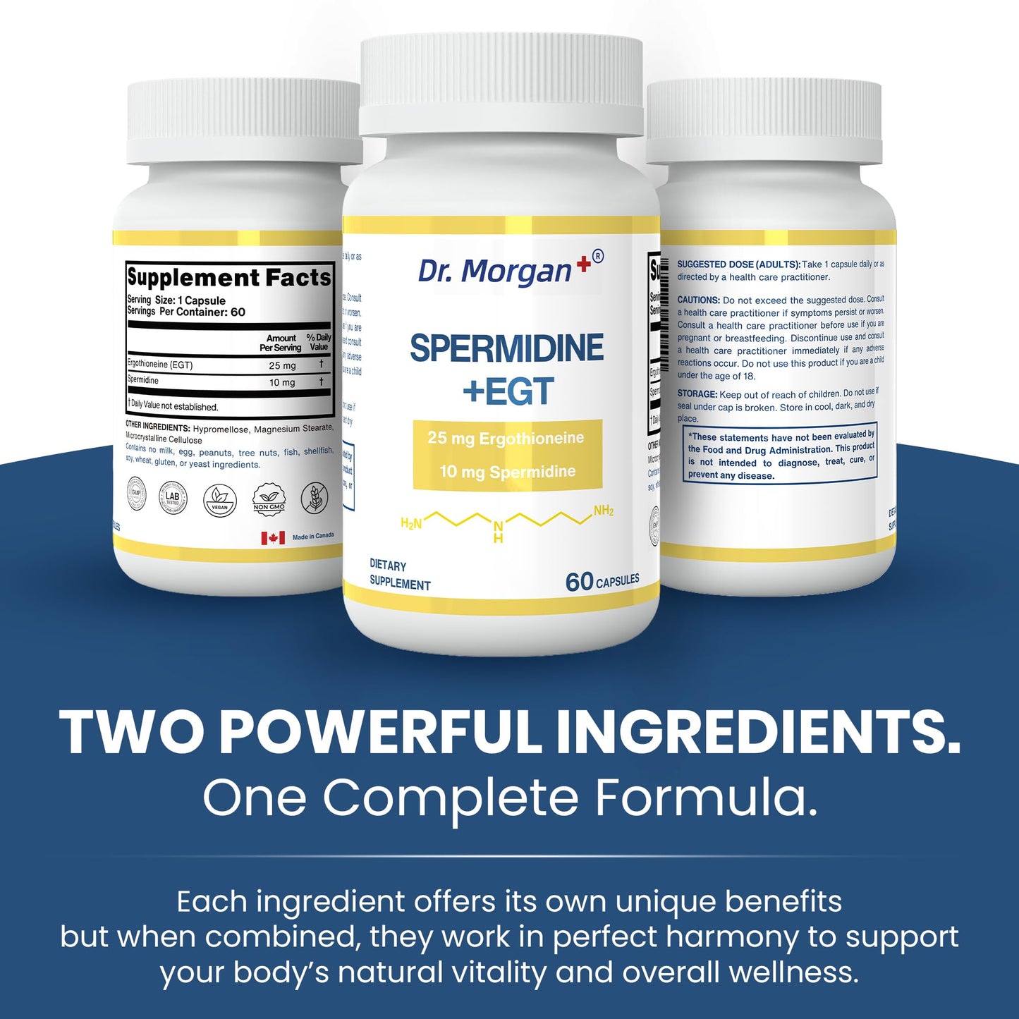 Dr. Morgan Spermidine & Ergothioneine – 99% Purity, Third-Party Tested