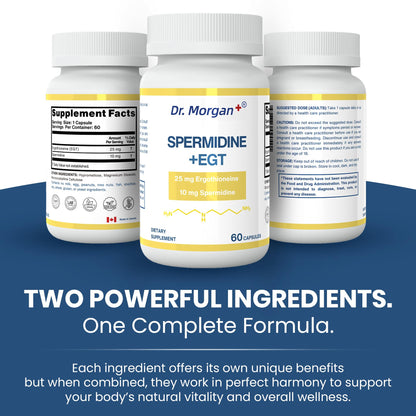 Dr. Morgan Spermidine & Ergothioneine – 99% Purity, Third-Party Tested