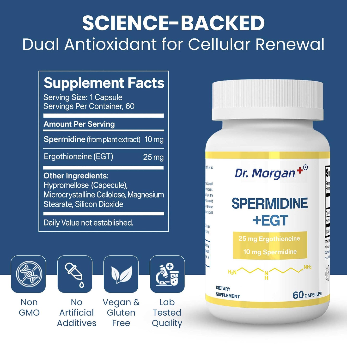 Dr. Morgan Spermidine & Ergothioneine – 99% Purity, Third-Party Tested