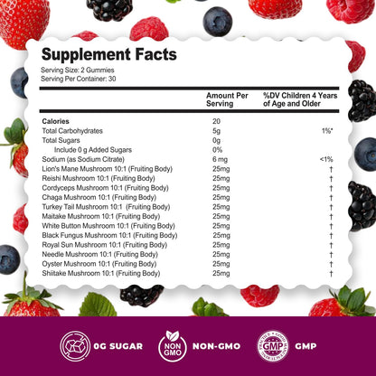 DR. MORITZ Lions Mane Gummies – 60 Count, 12-in-1 Brain & Immune Support