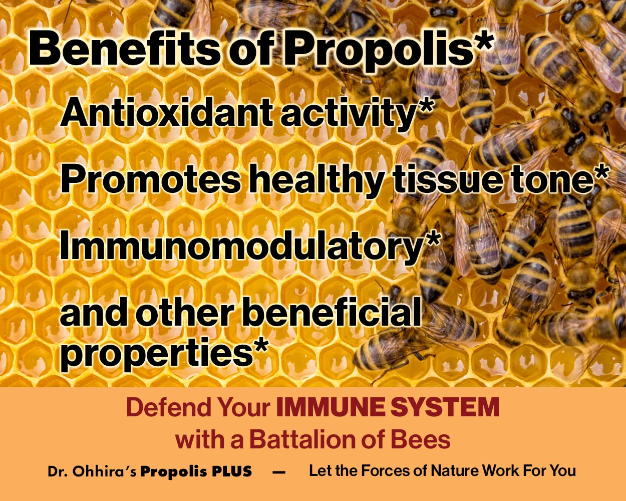 Dr. Ohhira's Propolis Plus 30 Capsules – Brazilian Green Propolis Immune Support