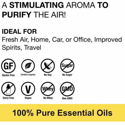 Dr. Schulze's Air | 100% Pure Essential Oils | 4 oz