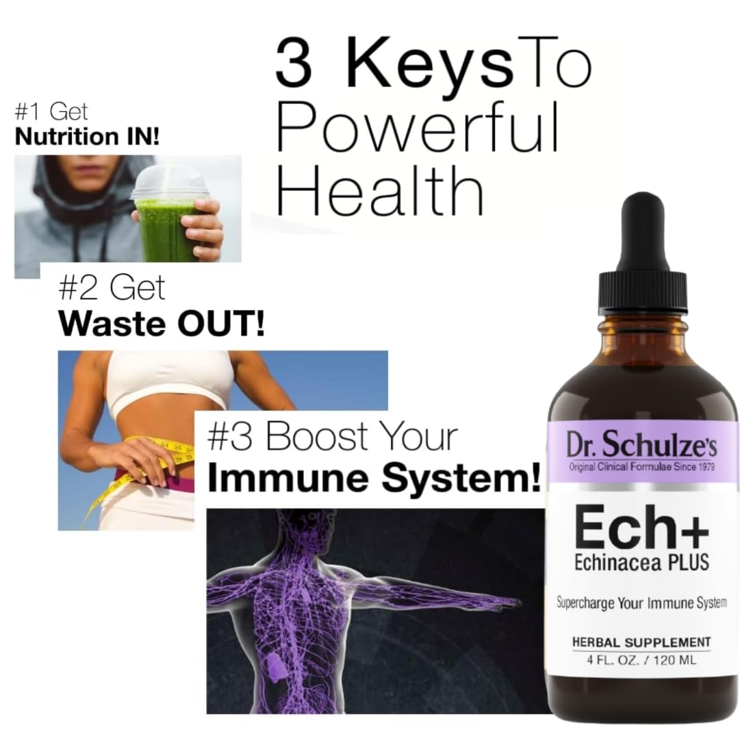 Dr. Schulze's Echinacea Plus - Organic Echinacea Root & Seed, Immune Support, 4 oz