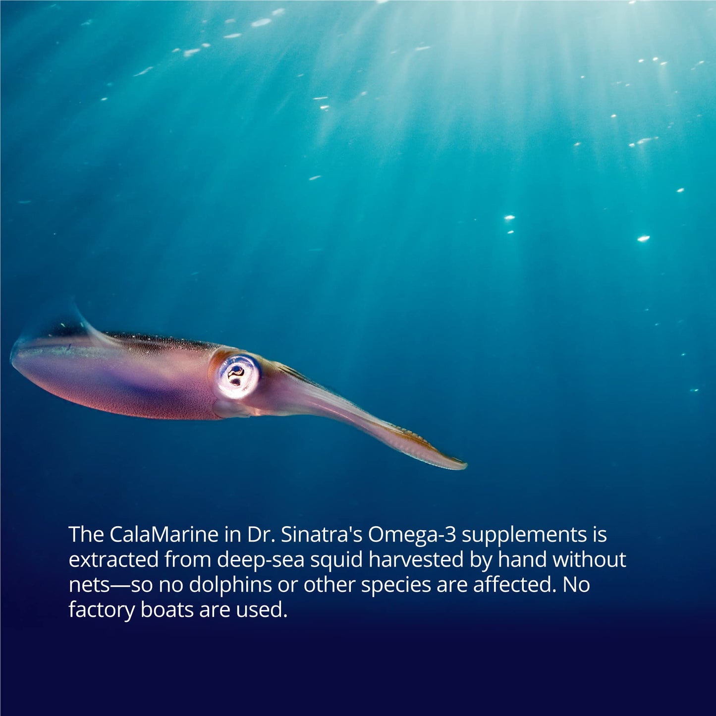 Dr. Sinatra CalaMarine Omega-3 with DHA & EPA – Clinical Grade, 60 Softgels for Heart, Brain & Eye Health