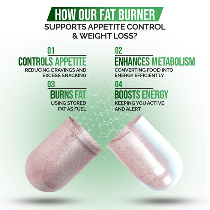 DR VITAMIN SOLUTIONS Fat Burner & Appetite Control – Metabolism Booster with L-Carnitine, CLA & Chromium