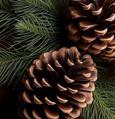 Dr. Vranjes Albero Di Natale Christmas-Tree Room Diffuser 250 ml