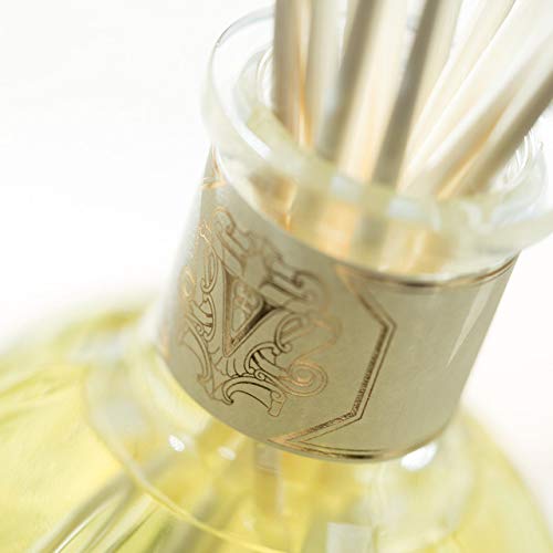 Dr. Vranjes Ginger and Lime Crystal Room Diffuser 500 ml
