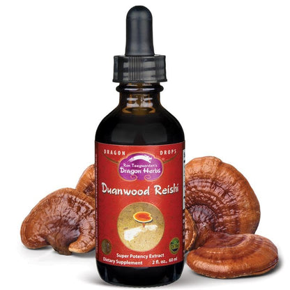 Dragon Herbs Duanwood Reishi Drops – Organic Mountain Grown Mushroom Tincture
