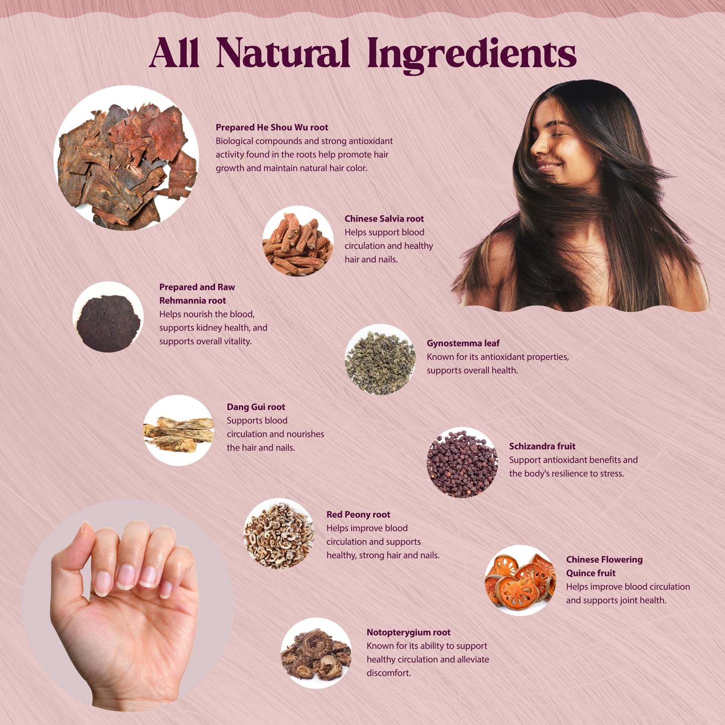 Dragon Herbs Hair and Nails | All Natural Supplement to Support Hair, Nails, Healthy Aging, and Circulation | All Natural Ingredients, Non-GMO (100 Capsules, 500 mg Per Capsule)