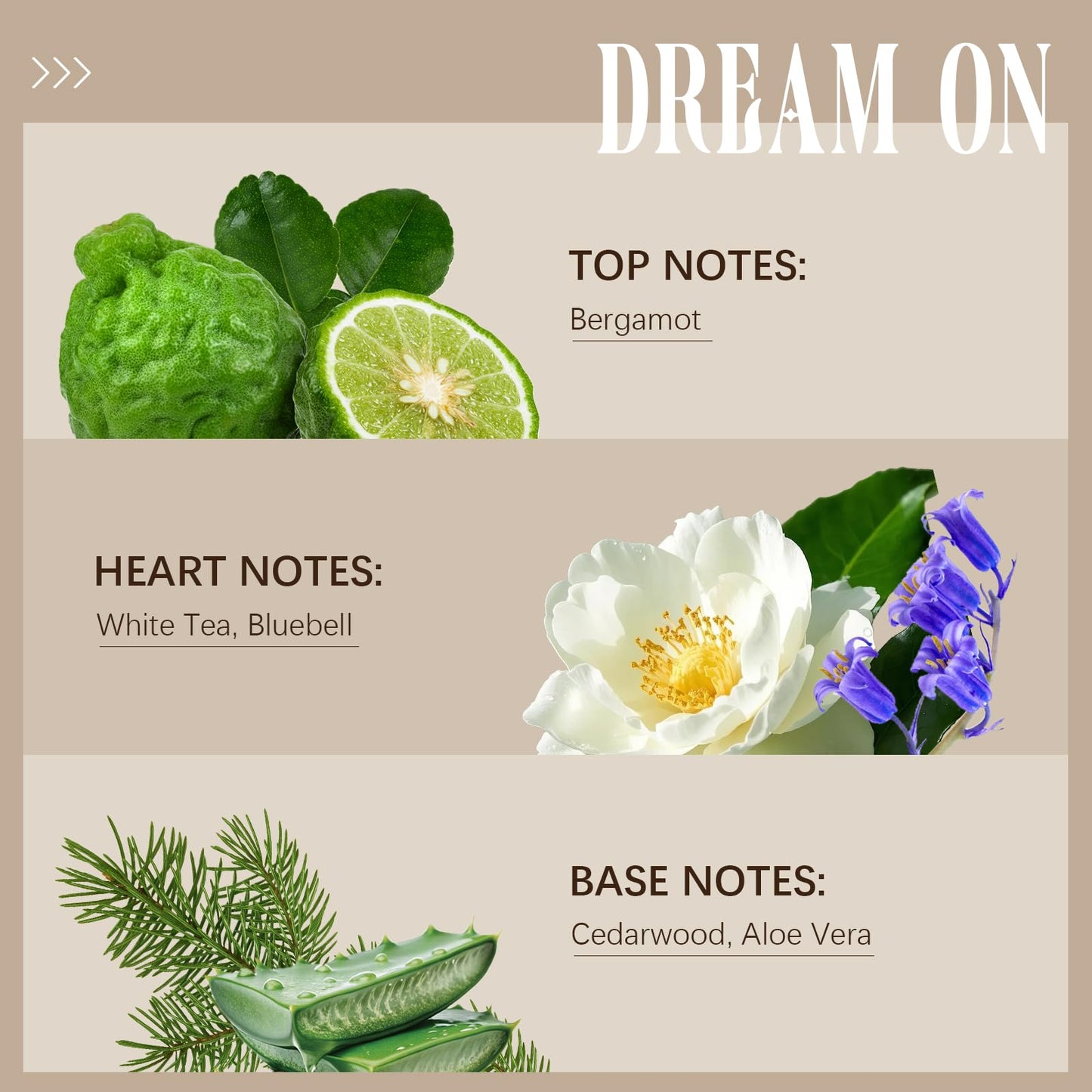 Hotel Diffuser Oil Dream On Scent – Luxury Aromatherapy 100mL