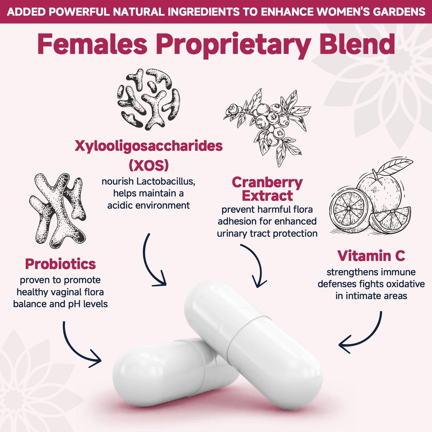 DRFOSTER Vaginal Probiotics for Women – 60B Probiotics, Prebiotic XOS & Cranberry, 90 Vegan Capsules