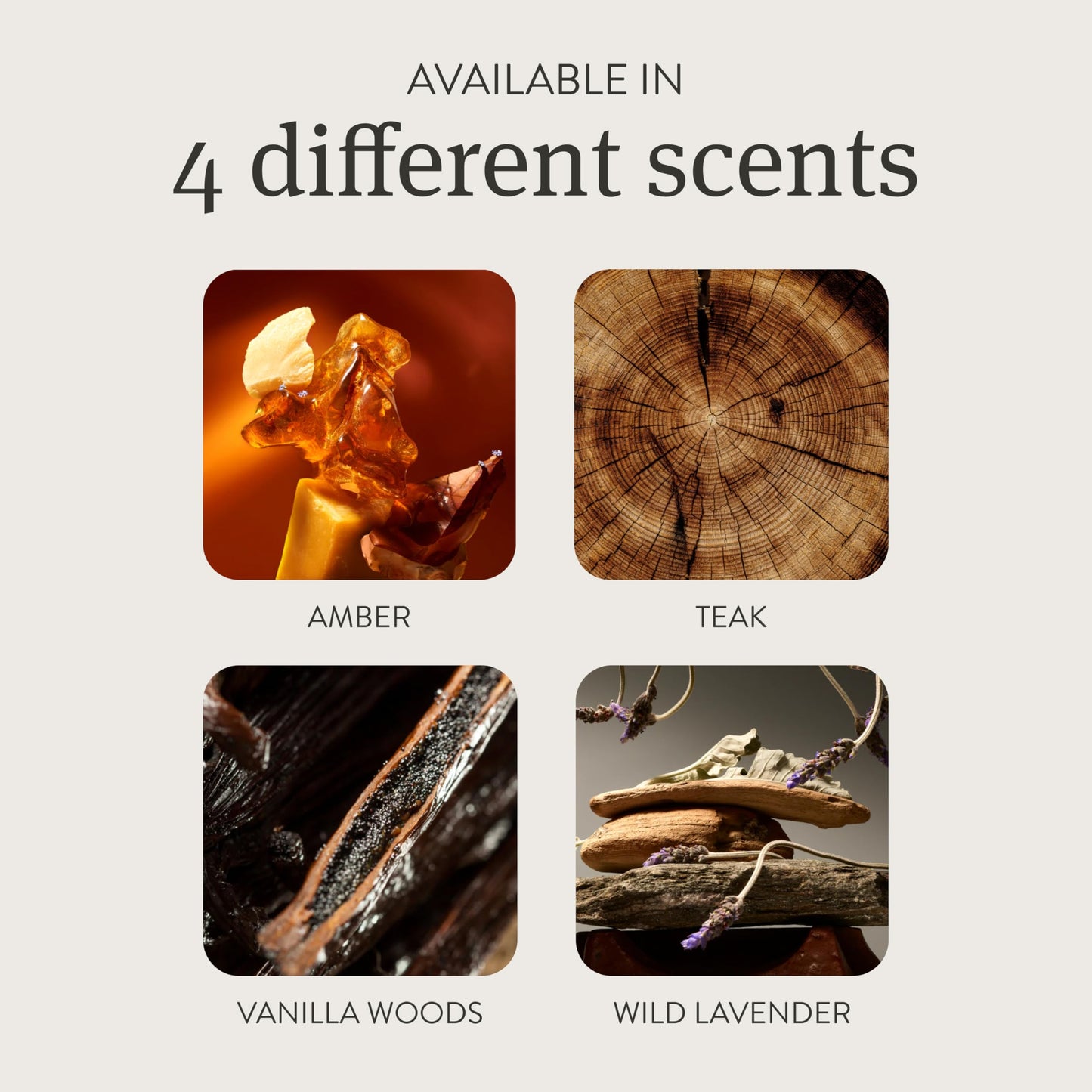 Drift Teak Scented Candle - 10.5 oz, 60 Day Burn Time
